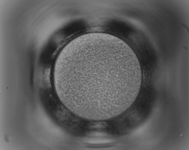 X0000103961150200810101238