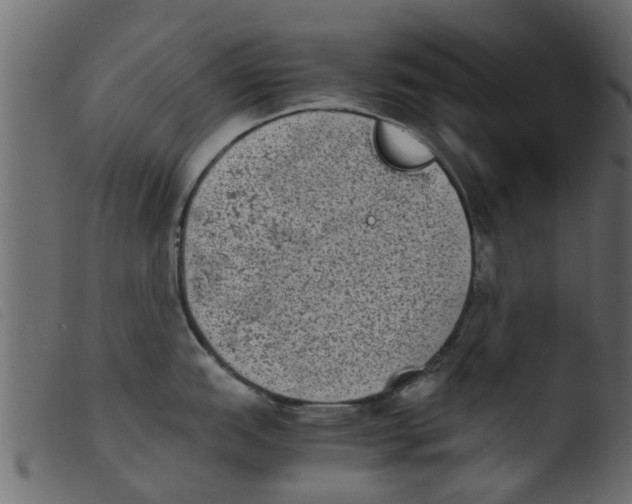 X0000103961151200810101239