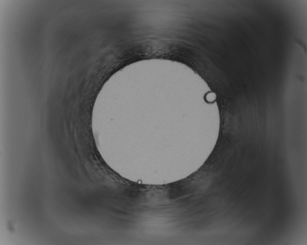 X0000103961153200810101238