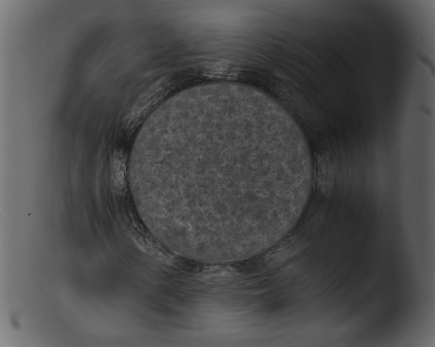 X0000103961154200810101238