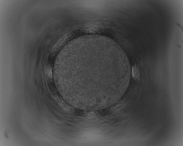 X0000103961155200810101238