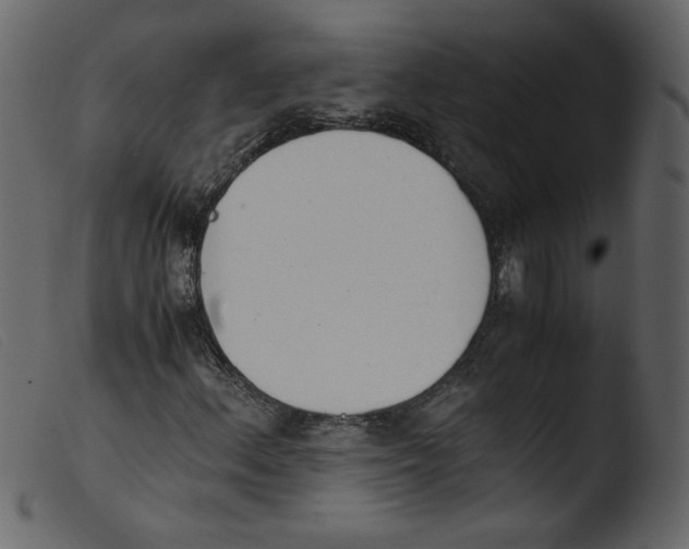 X0000103961156200810101238