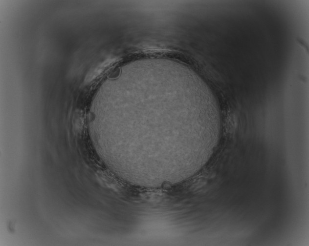 X0000103961157200810101238