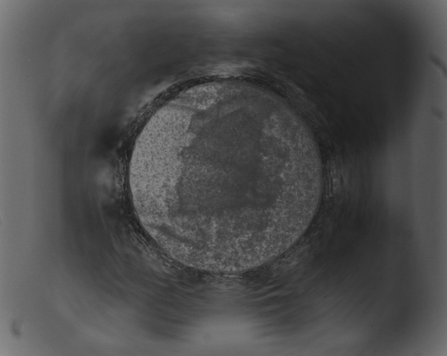 X0000103961158200810101238