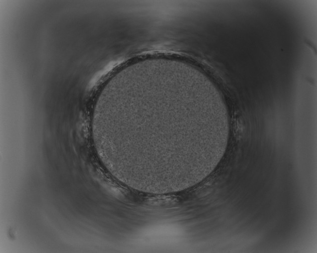 X0000103961159200810101238