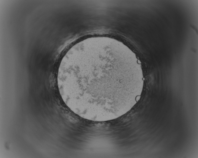 X0000103961160200810101238