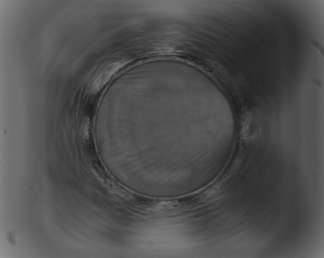 X0000103961161200810101238