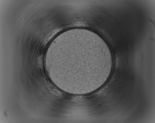 X0000103961162200810101238