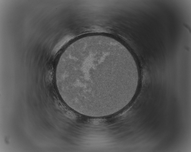 X0000103961163200810101238