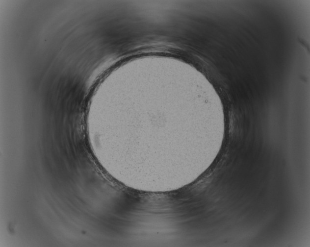 X0000103961164200810101238