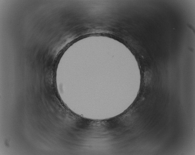 X0000103961165200810101238