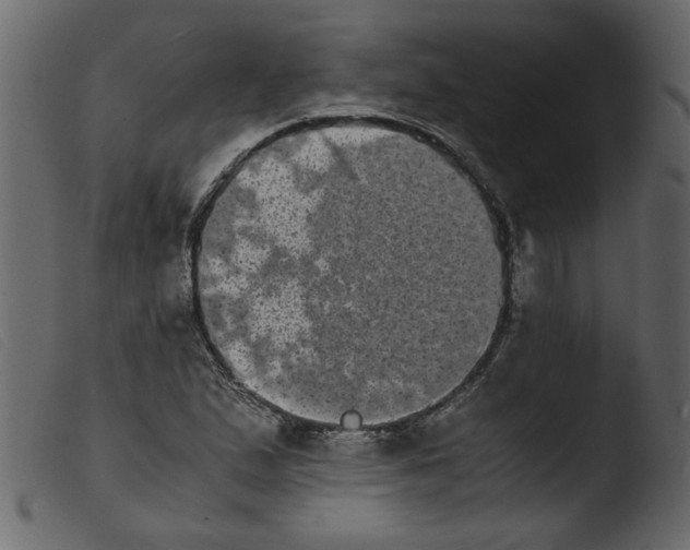 X0000103961167200810101237