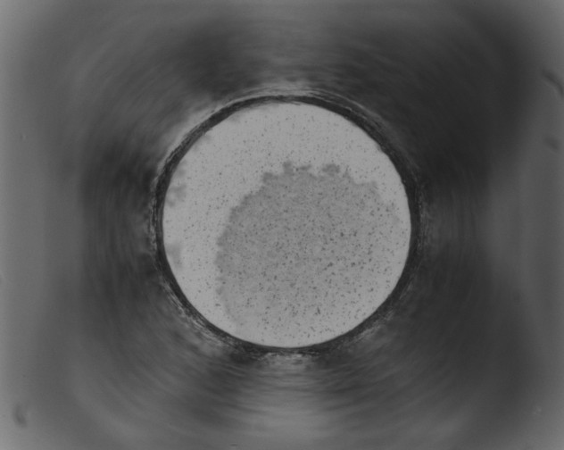 X0000103961168200810101237