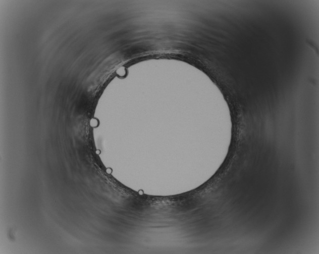 X0000103961169200810101237