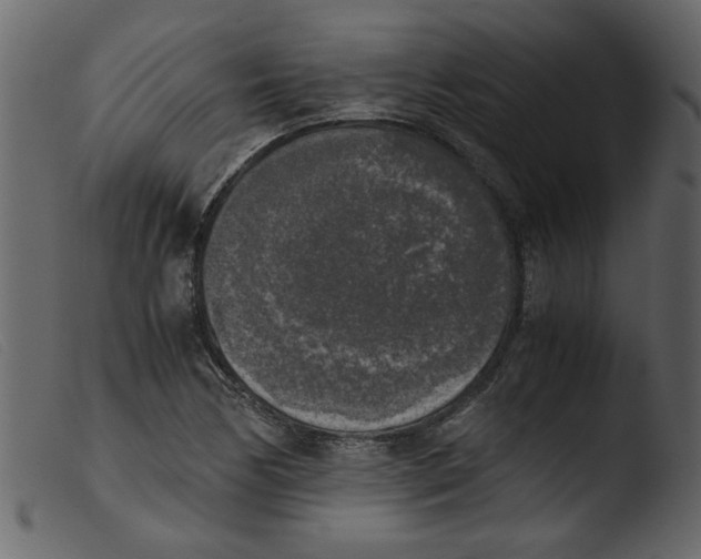 X0000103961170200810101237