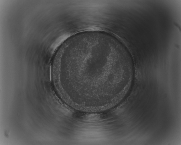 X0000103961171200810101237