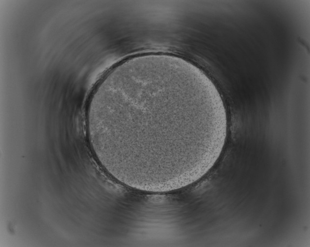 X0000103961172200810101237