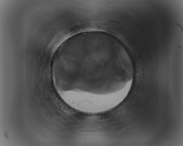 X0000103961173200810101237