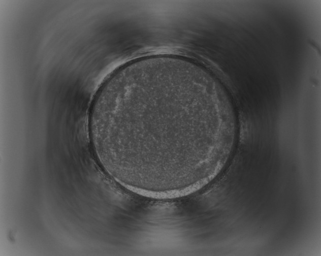 X0000103961174200810101237