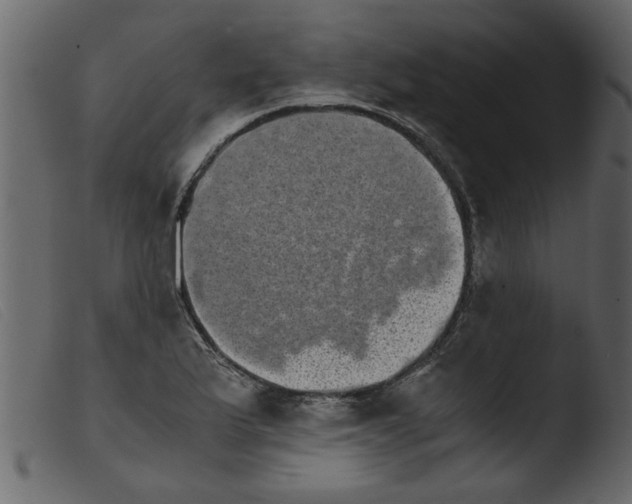 X0000103961175200810101237