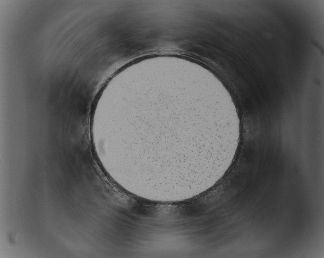 X0000103961176200810101237