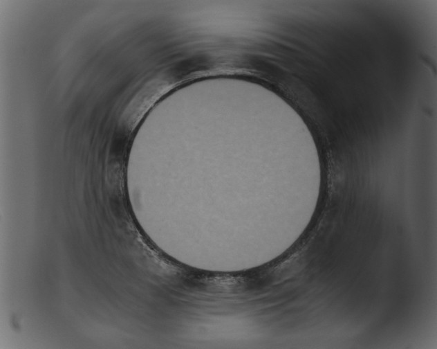 X0000103961177200810101237