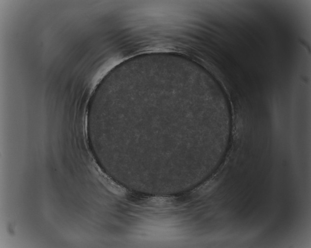 X0000103961179200810101237