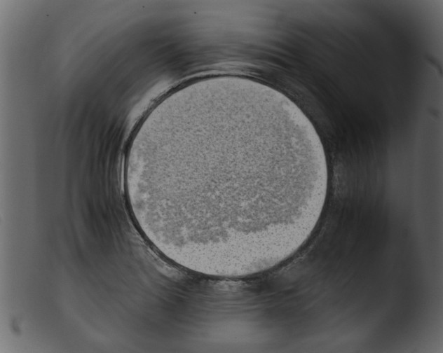 X0000103961180200810101237