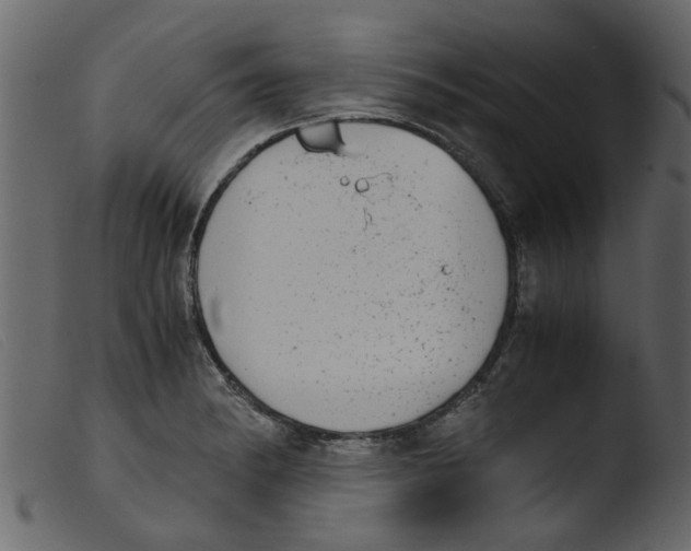 X0000103961182200810101237