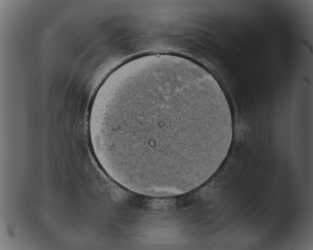 X0000103961183200810101237