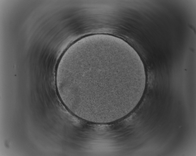 X0000103961184200810101237