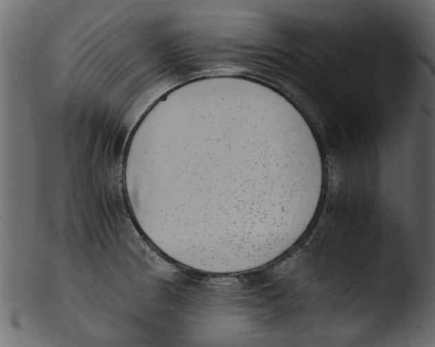 X0000103961186200810101237