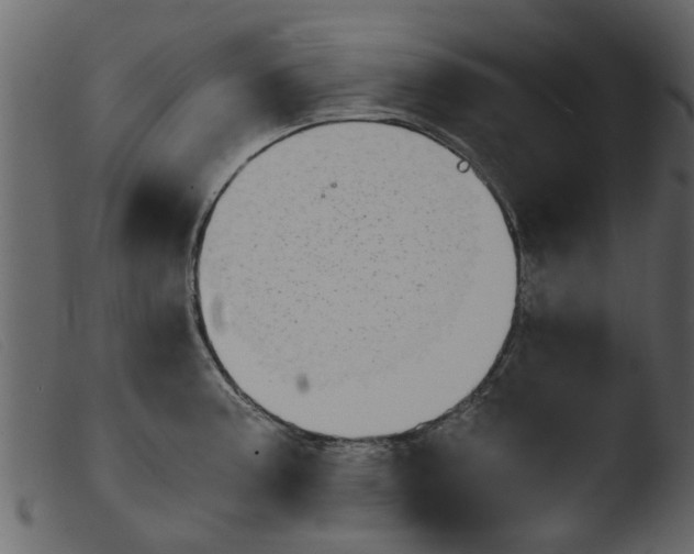 X0000103961187200810101237