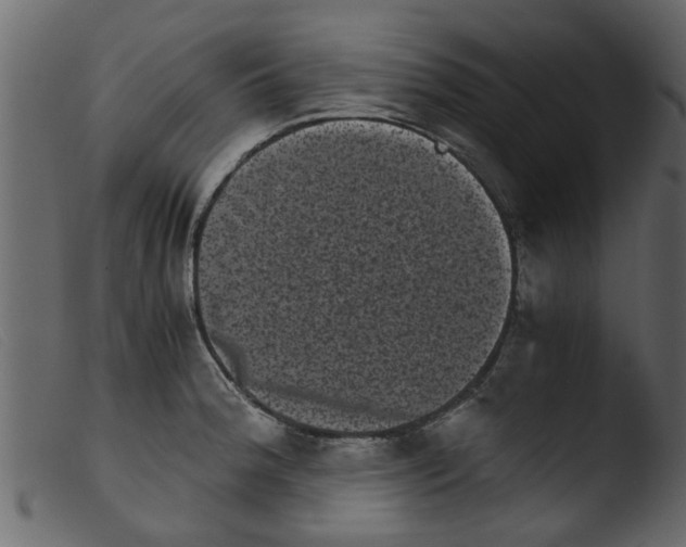 X0000103961188200810101237