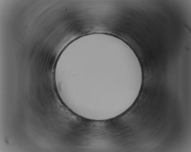 X0000103961190200810101237