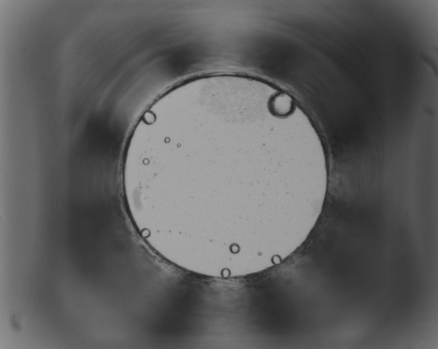 X0000103961191200810101237