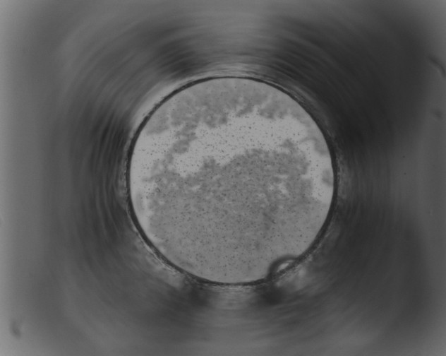 X0000103961192200810101237