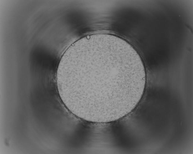 X0000103961193200810101237