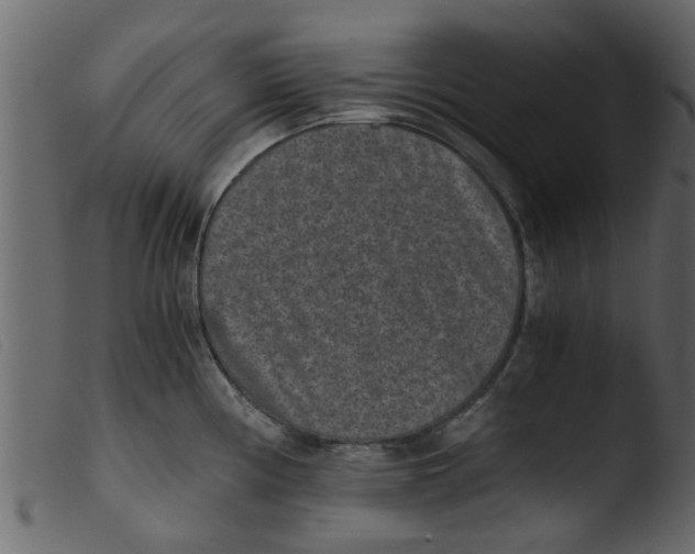 X0000103961194200810101237