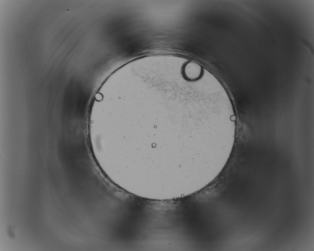 X0000103961195200810101237