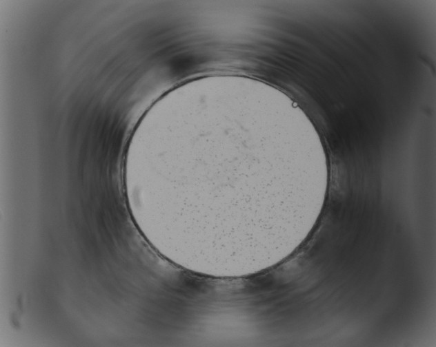 X0000103961196200810101237