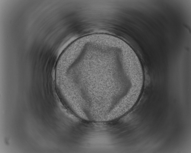 X0000103961198200810101237