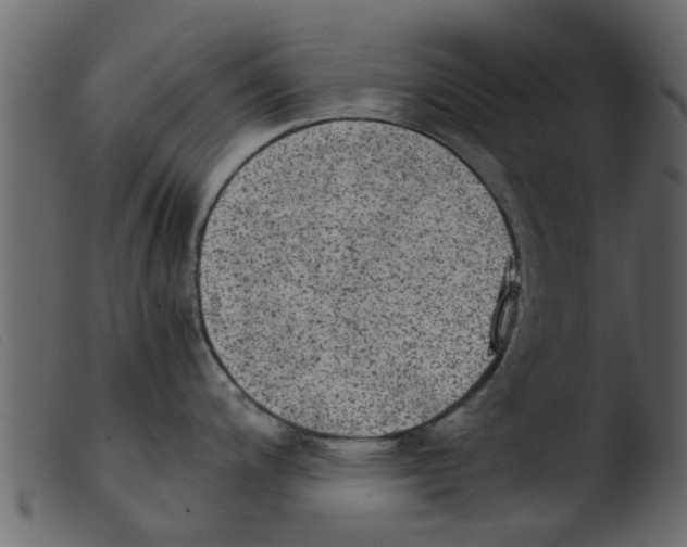 X0000103961200200810101237