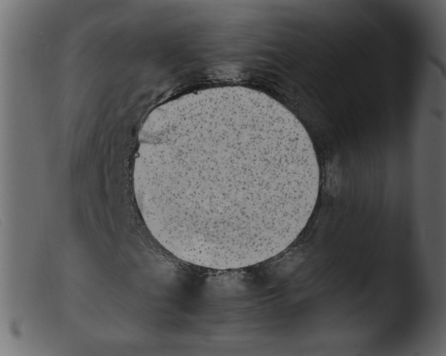 X0000103961201200810101236