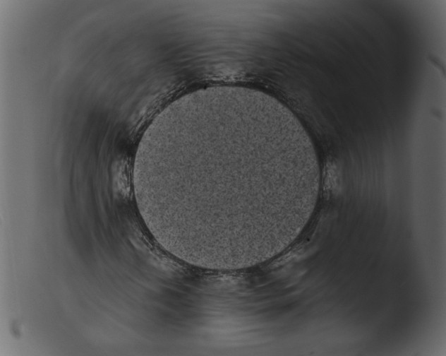 X0000103961202200810101236