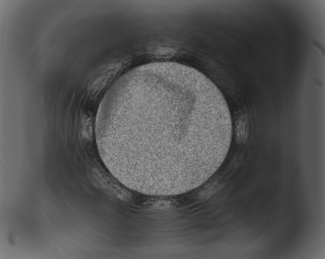 X0000103961204200810101236