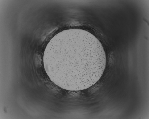 X0000103961205200810101236