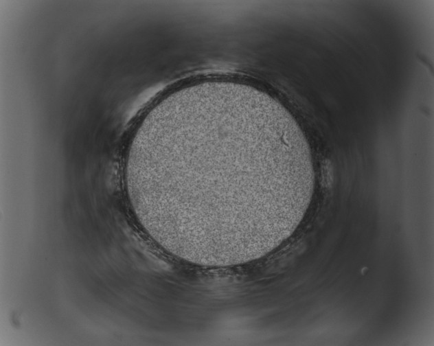 X0000103961208200810101236