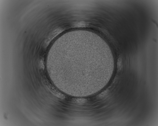 X0000103961209200810101236