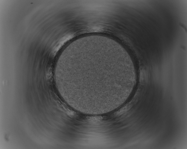 X0000103961210200810101236